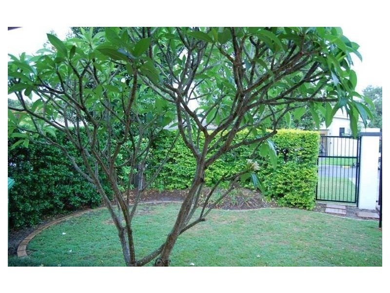 2/15 Lee Road, Runaway Bay QLD 4216