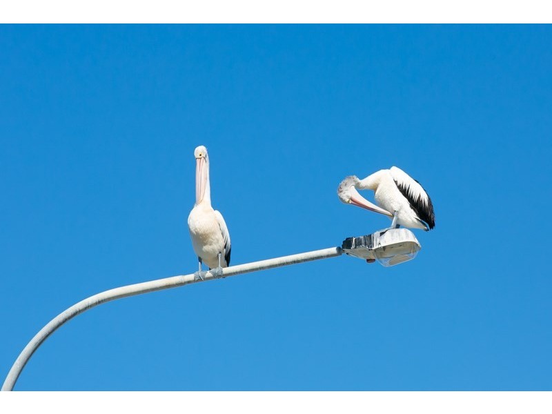 5/7 Phillip Street, Labrador QLD 4215