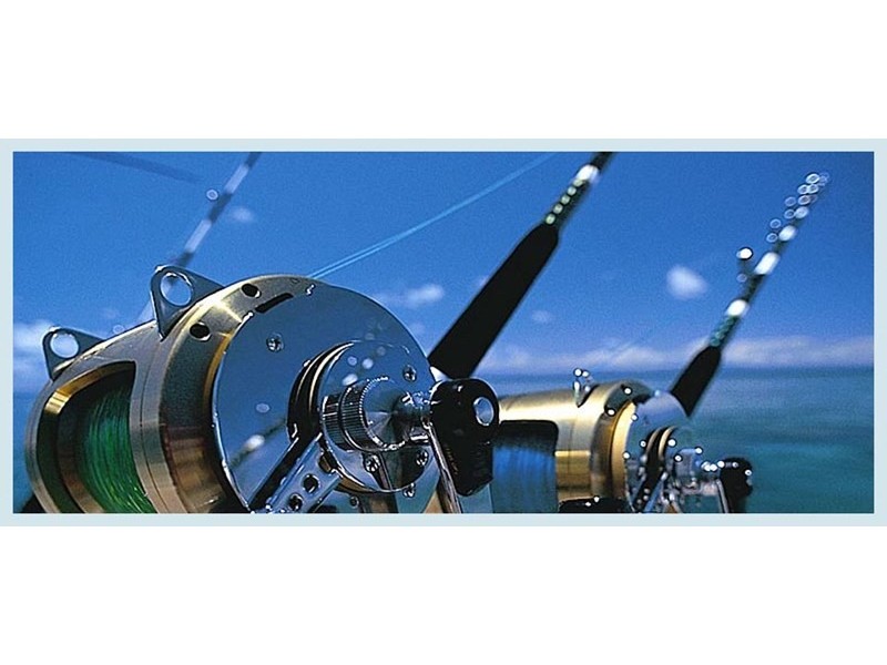 46 North View Street, Hope Island QLD 4212