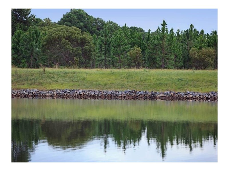 37 Sickle Avenue, Hope Island QLD 4212