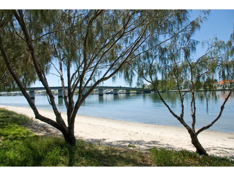 54 Milton Avenue, Paradise Point QLD 4216