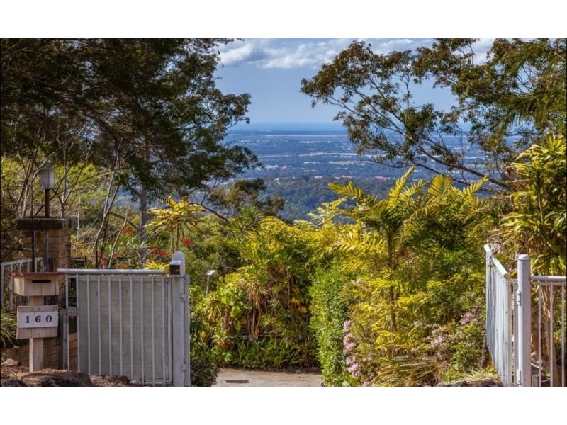160 Wongawallan Drive, Wongawallan QLD 4210