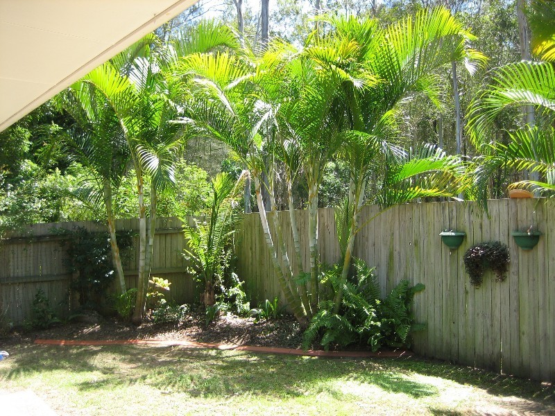 Coombabah QLD 4216