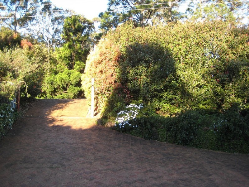703 Main Western Road, Tamborine Mountain QLD 4272