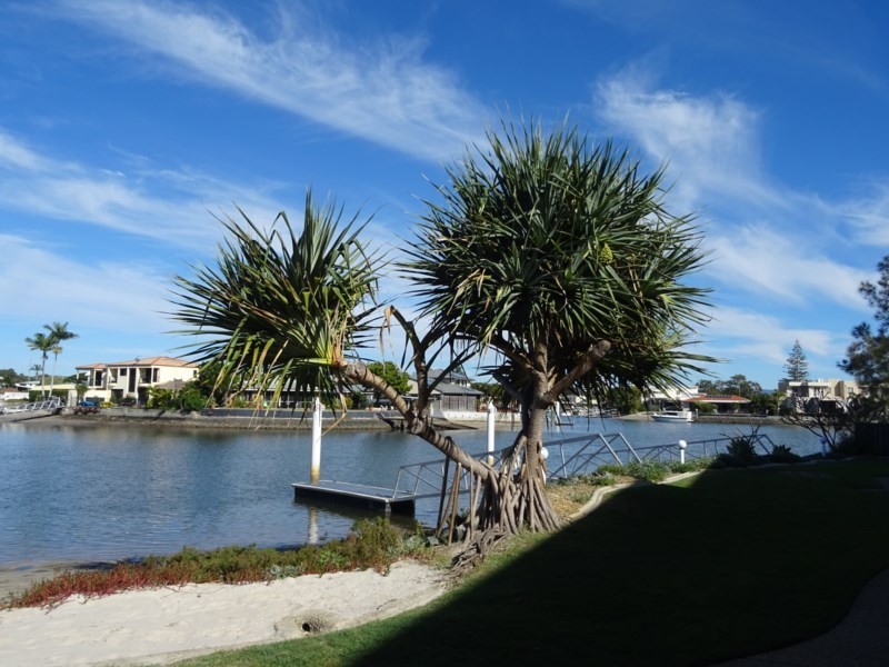 20/26 Back Street, Biggera Waters QLD 4216