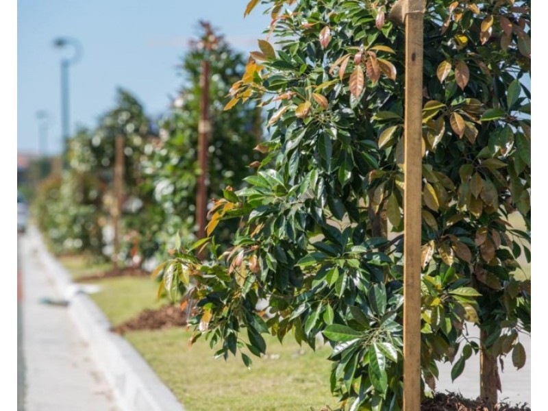 23-31 Sickle Avenue, Hope Island QLD 4212