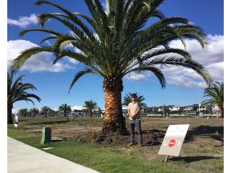 23-31 Sickle Avenue, Hope Island QLD 4212