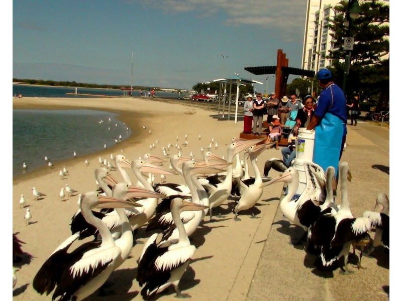 8 Sunshine Court, Labrador QLD 4215