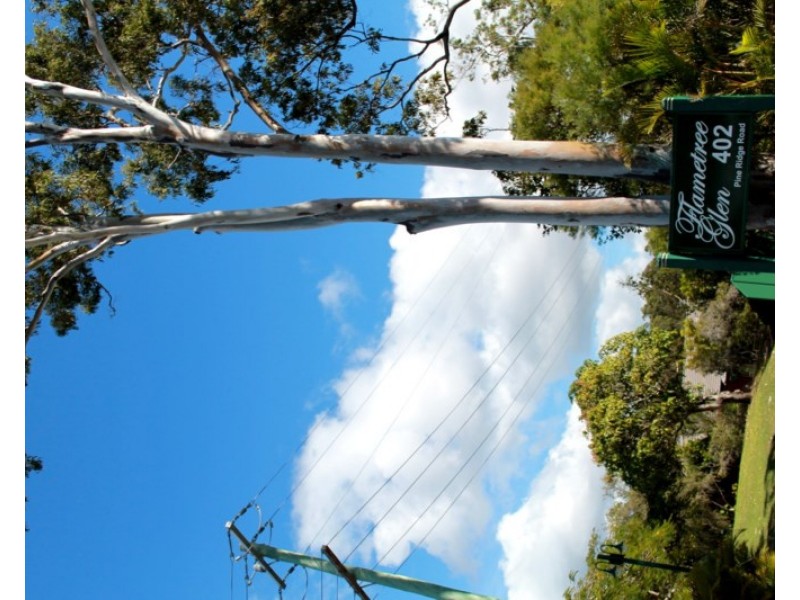 33/402 Pine Ridge Road, Runaway Bay QLD 4216