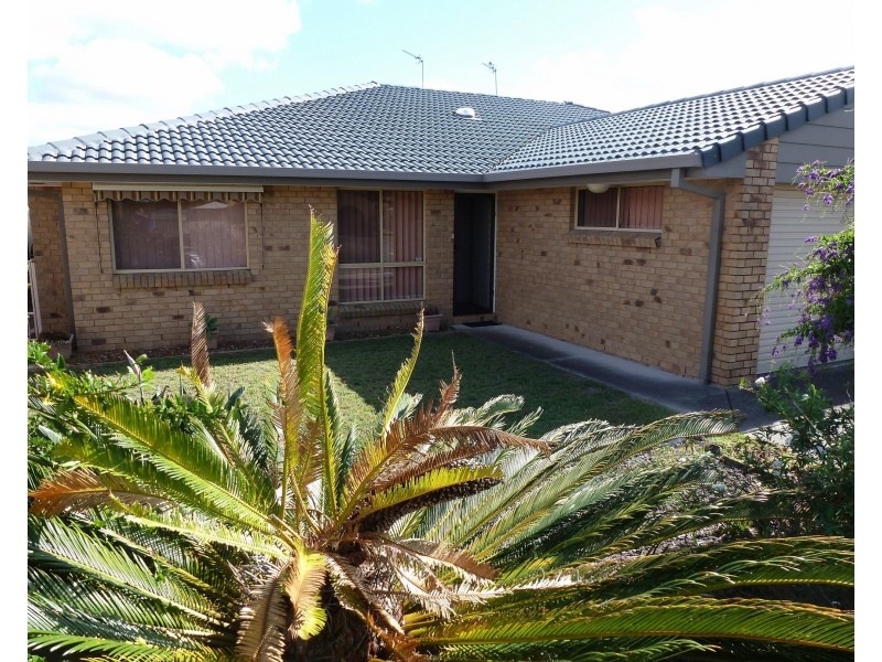 2/31 Kangaroo Avenue, Coombabah QLD 4216