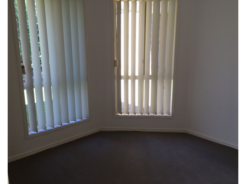 3 Carter Street, Pacific Pines QLD 4211