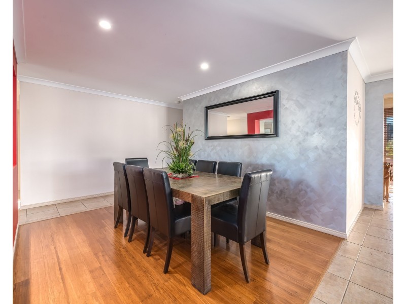 17 Diamond Sand Drive, Upper Coomera QLD 4209