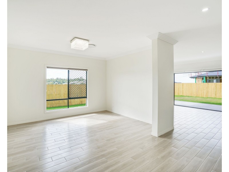 48 Richenda Street, Ormeau Hills QLD 4208