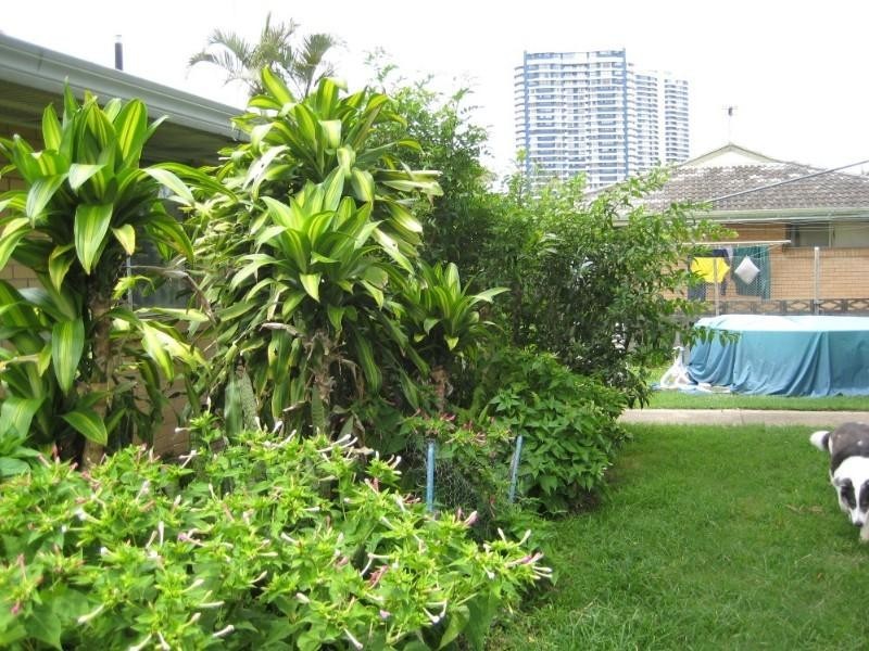 34 Broadwater Street, Runaway Bay QLD 4216