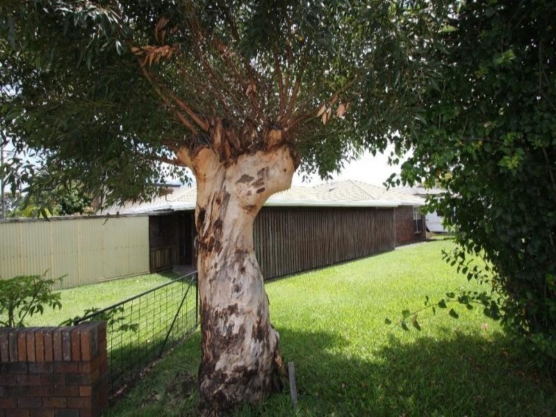 Biggera Waters QLD 4216