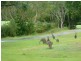 48 Fitzalan Circuit, Arundel QLD 4214
