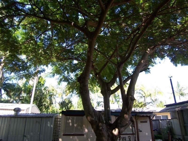 Runaway Bay QLD 4216