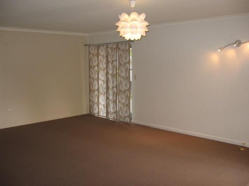 14 Shoveller Avenue, Paradise Point QLD 4216