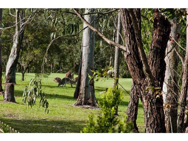 9 Hazel Court, Arundel QLD 4214