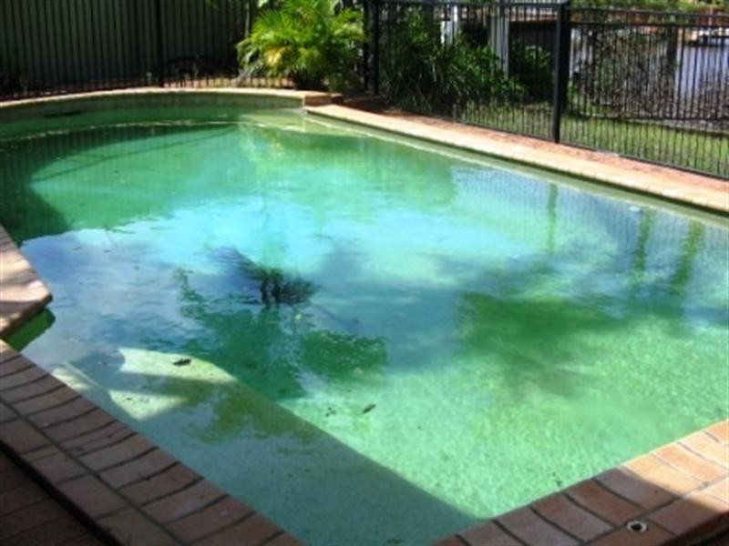 11 BASS Place, Paradise Point QLD 4216