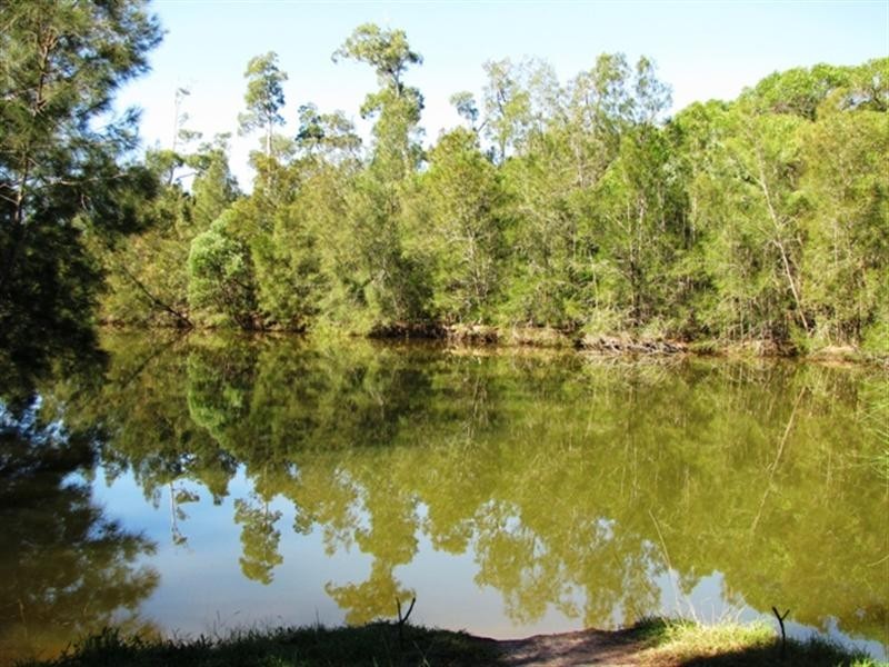 23 Numbat Court, Coombabah QLD 4216