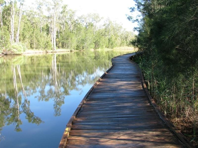 23 Numbat Court, Coombabah QLD 4216