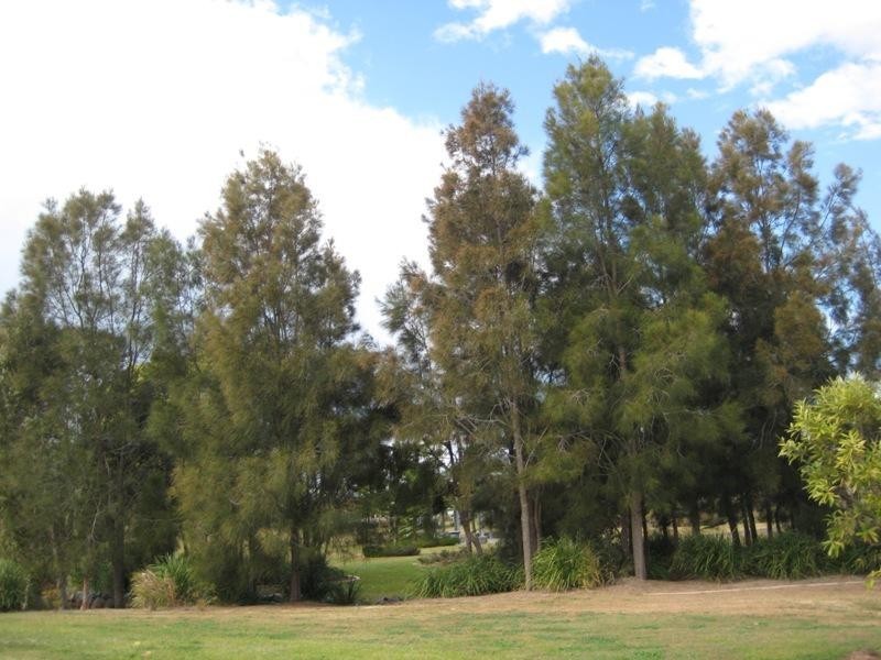 8 Torrevella Vista, Coombabah QLD 4216