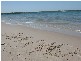 Runaway Bay QLD 4216