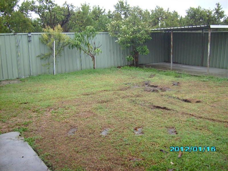 50 Jacaranda Avenue, Hollywell QLD 4216