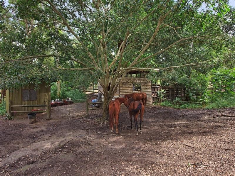 86-90 Billabirra Crescent, Nerang QLD 4211