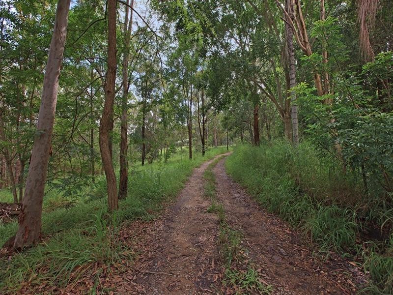 86-90 Billabirra Crescent, Nerang QLD 4211