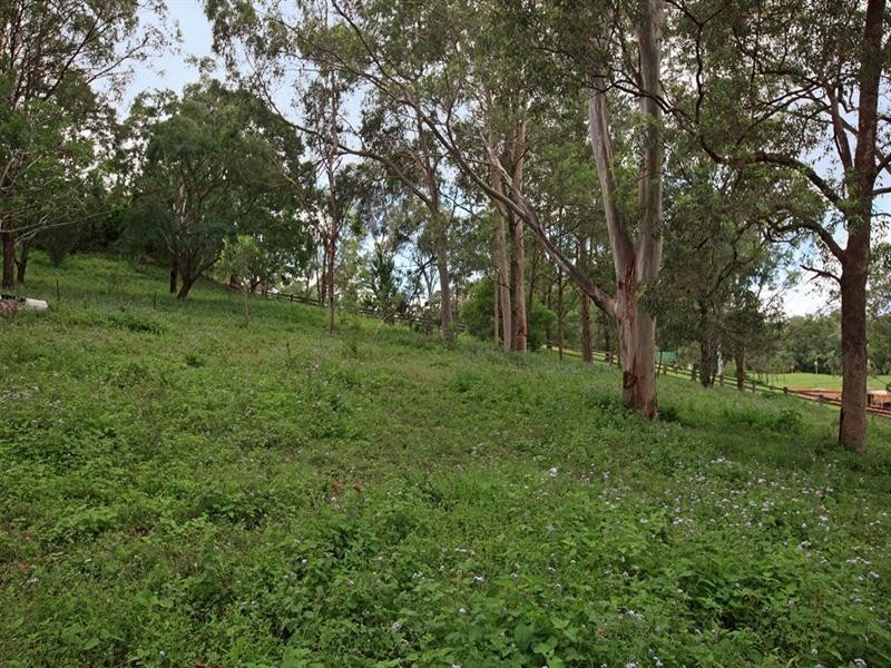 86-90 Billabirra Crescent, Nerang QLD 4211