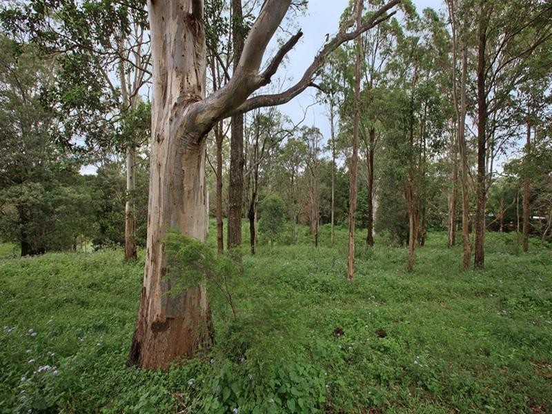 86-90 Billabirra Crescent, Nerang QLD 4211