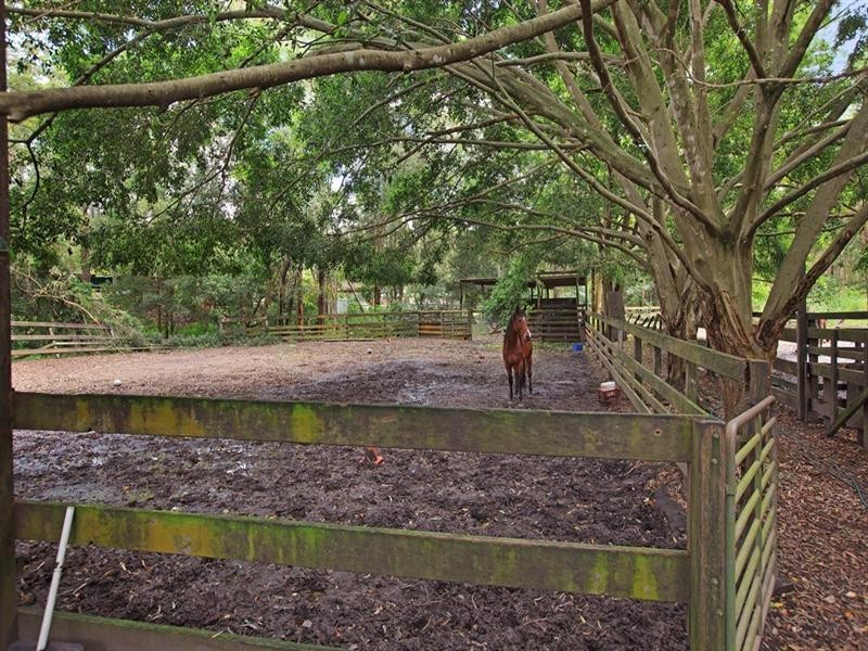 86-90 Billabirra Crescent, Nerang QLD 4211