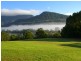 Murwillumbah NSW 2484