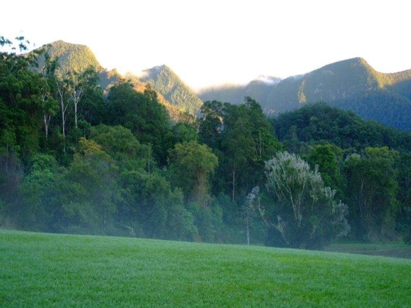 Murwillumbah NSW 2484
