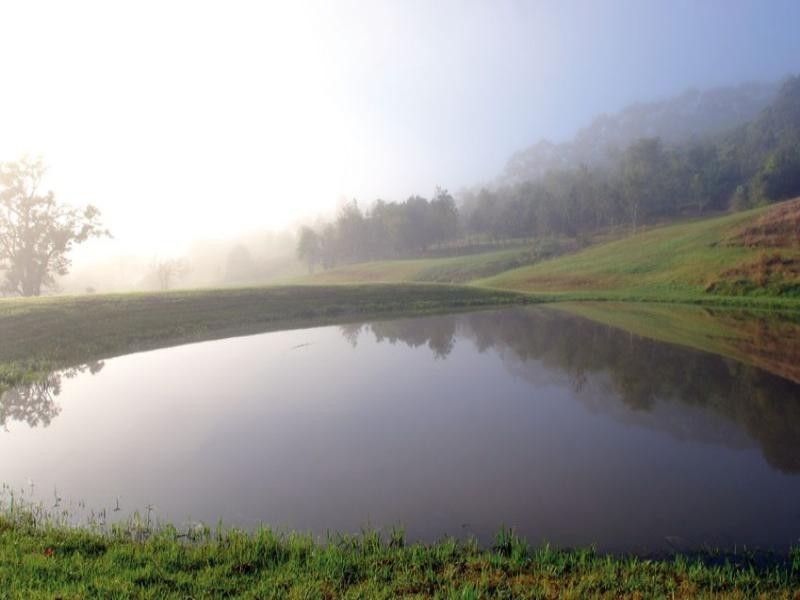 Murwillumbah NSW 2484