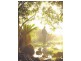 Murwillumbah NSW 2484
