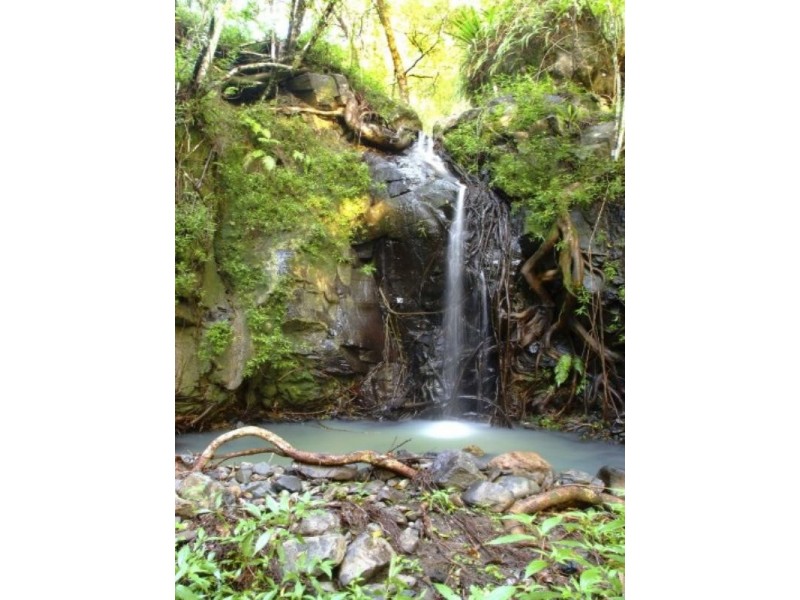 Murwillumbah NSW 2484