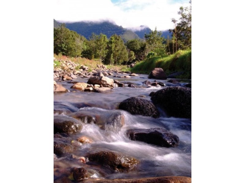 Murwillumbah NSW 2484