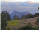 Murwillumbah NSW 2484