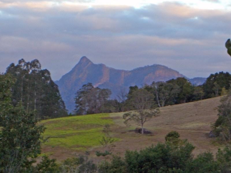 Murwillumbah NSW 2484