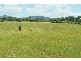 Yatala QLD 4207