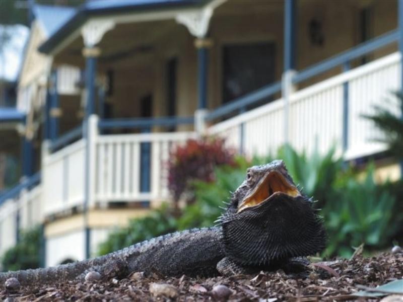 Mount Cotton QLD 4165