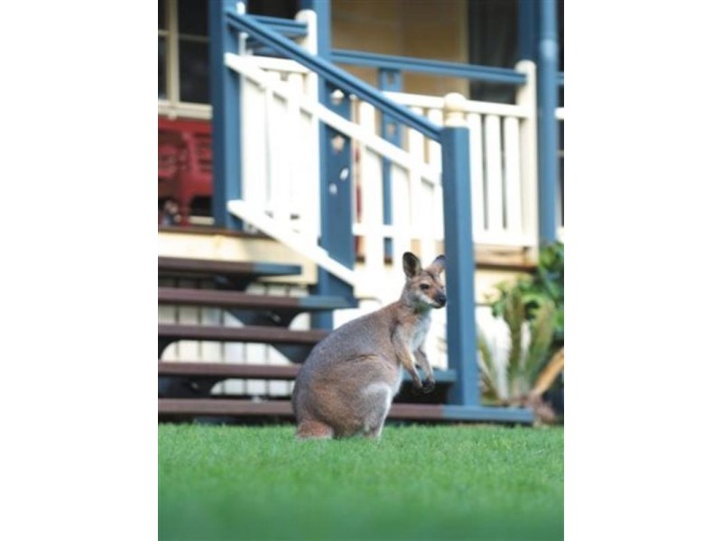 Mount Cotton QLD 4165