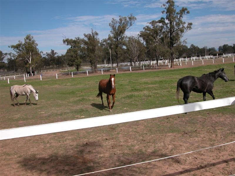 Harrisville QLD 4307