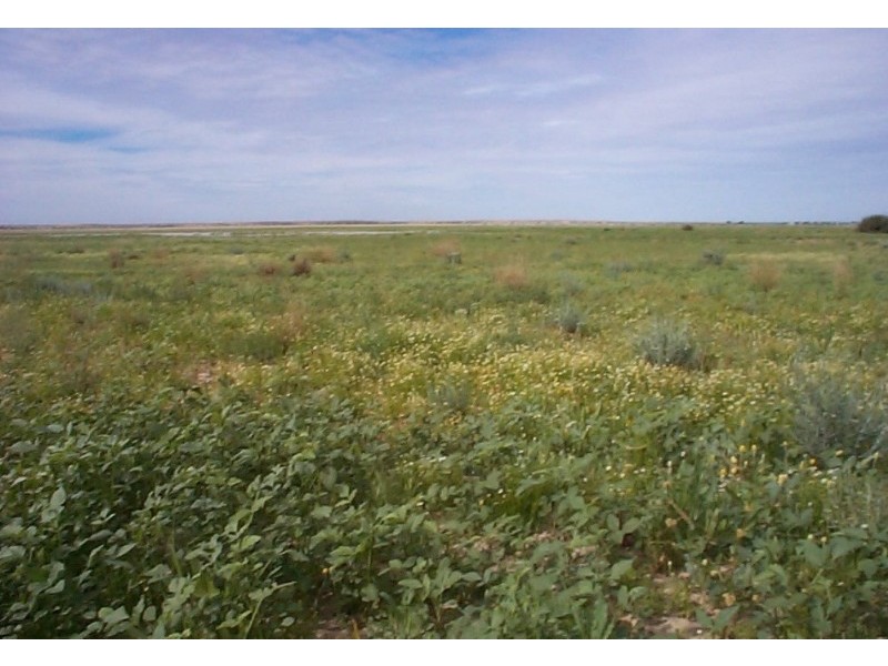 Birdsville QLD 4482
