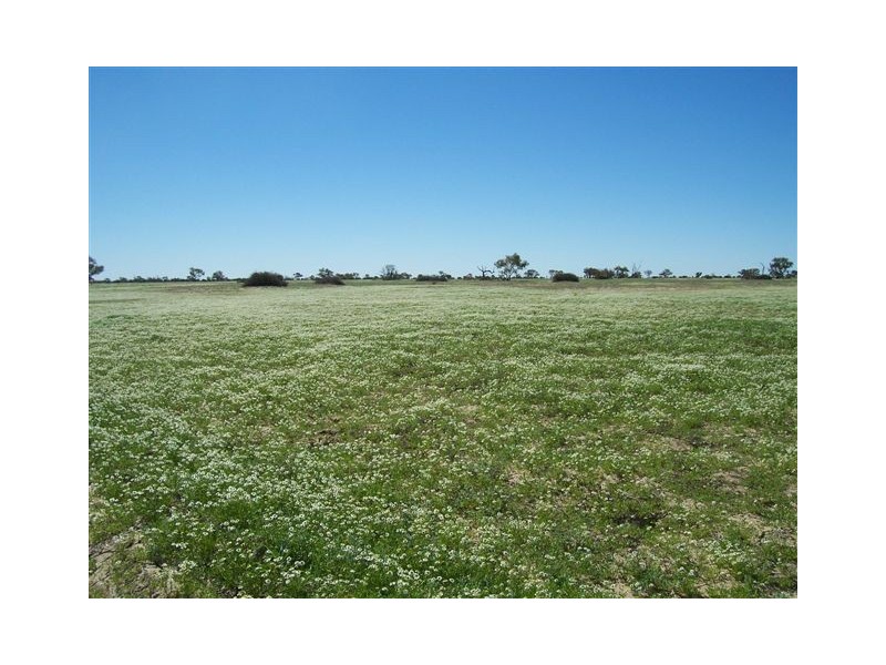 Birdsville QLD 4482