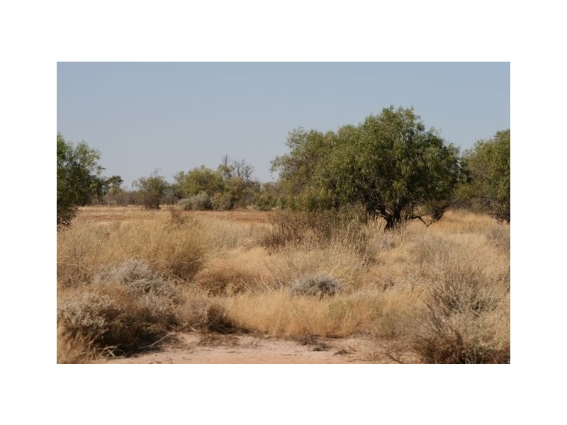 Birdsville QLD 4482