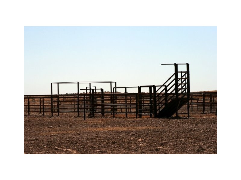Birdsville QLD 4482